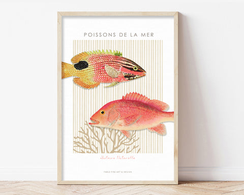Natural History Fish Poster