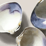 Modern Seashell art