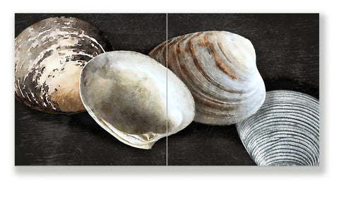 Contemporary Coastal Seashell Art